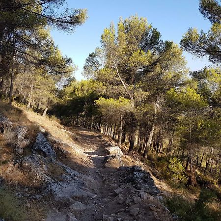 Apartamentos Rurales La Dehesa Del Acebuche Jaén Εξωτερικό φωτογραφία