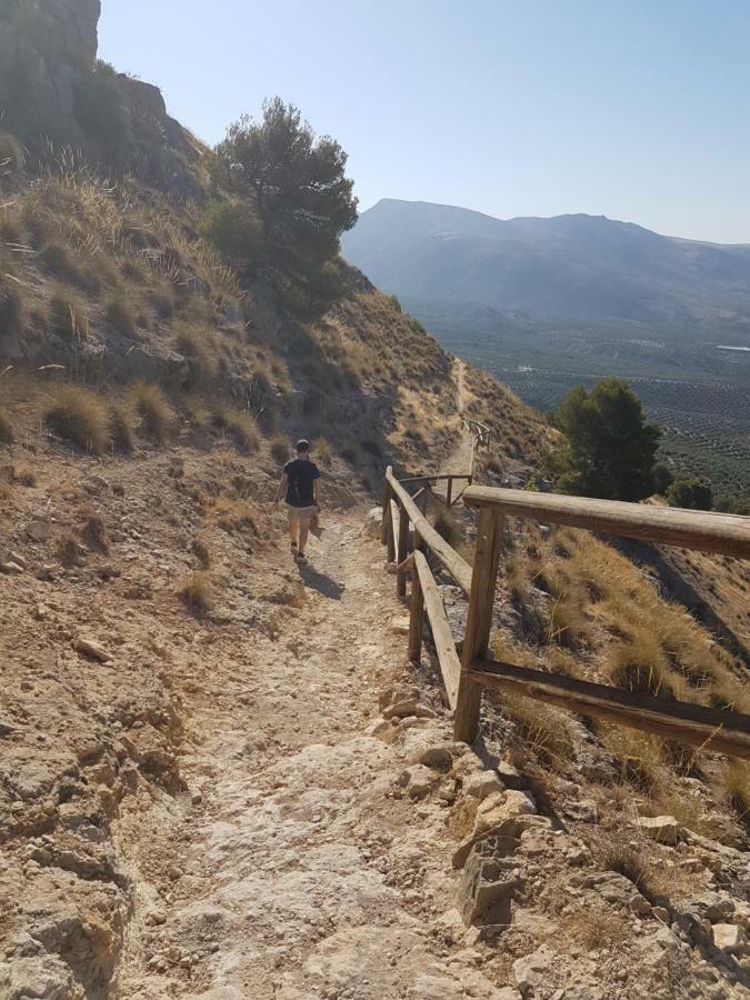 Apartamentos Rurales La Dehesa Del Acebuche Jaén Εξωτερικό φωτογραφία