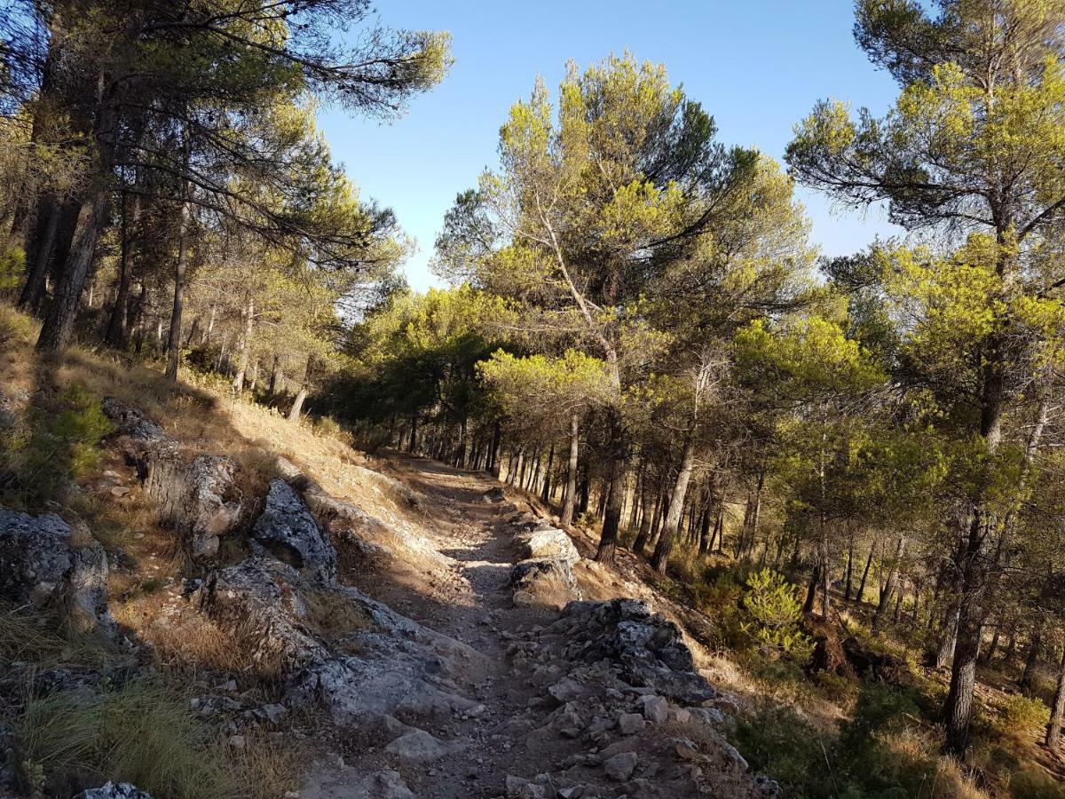 Apartamentos Rurales La Dehesa Del Acebuche Jaén Εξωτερικό φωτογραφία