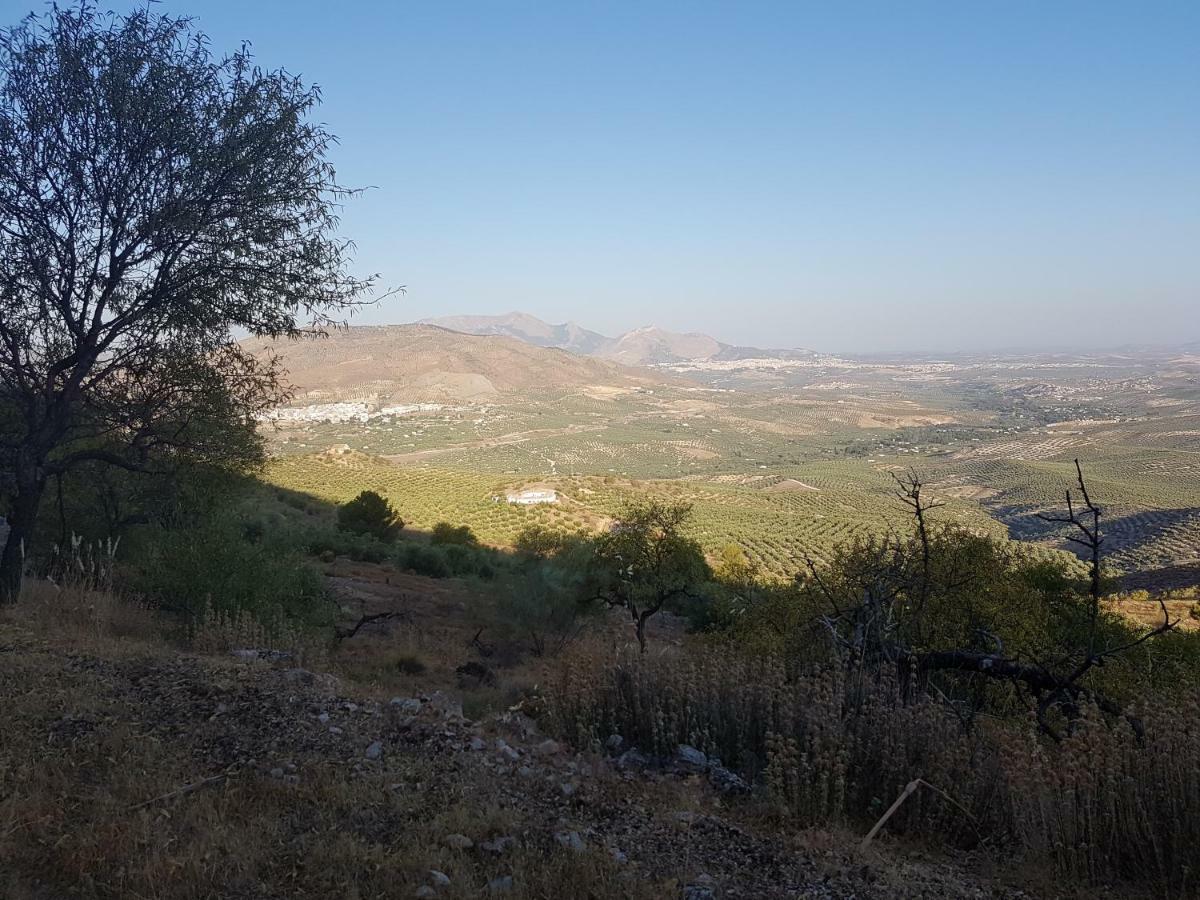 Apartamentos Rurales La Dehesa Del Acebuche Jaén Εξωτερικό φωτογραφία
